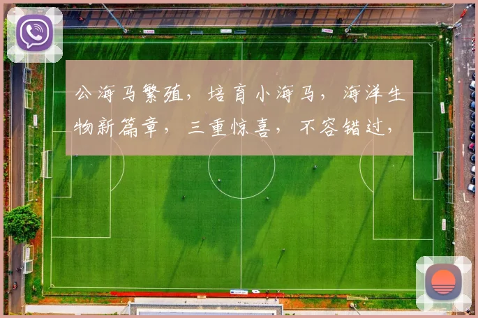公海马繁殖，培育小海马，海洋生物新篇章，三重惊喜，不容错过，