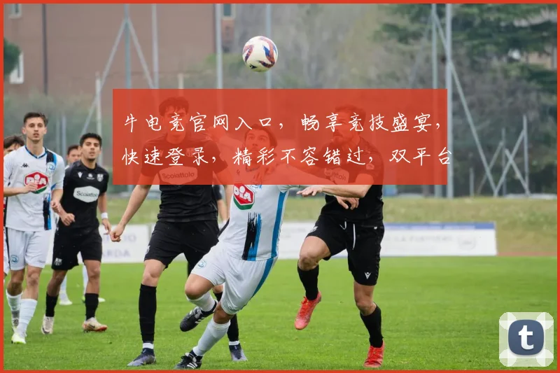 牛电竞官网入口，畅享竞技盛宴，快速登录，精彩不容错过，双平台同步更新