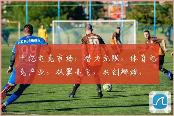 千亿电竞市场，潜力无限，体育电竞产业，双翼齐飞，共创辉煌。